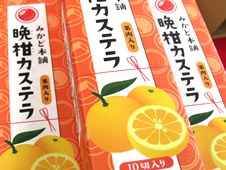 カステラ晩柑