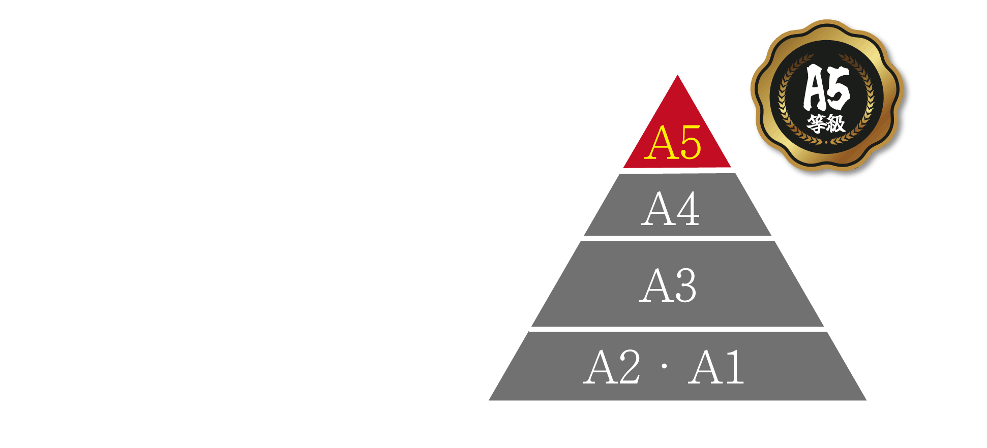 長崎和牛A5ランク