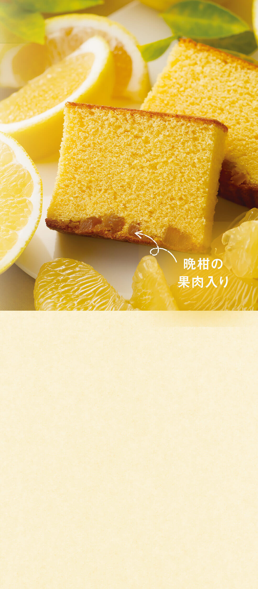 甘さの中に広がる酸味と香り。晩柑カステラ｜みかど本舗