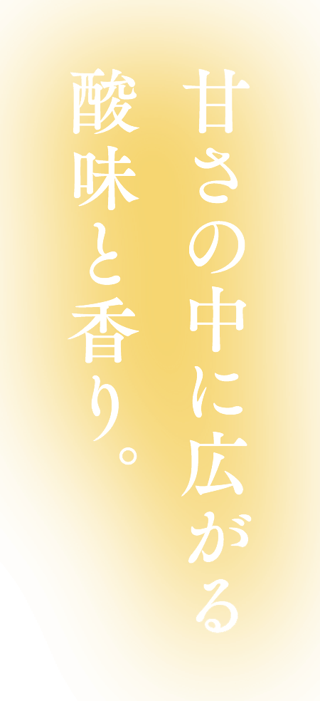 甘さの中に広がる酸味と香り。晩柑カステラ｜みかど本舗