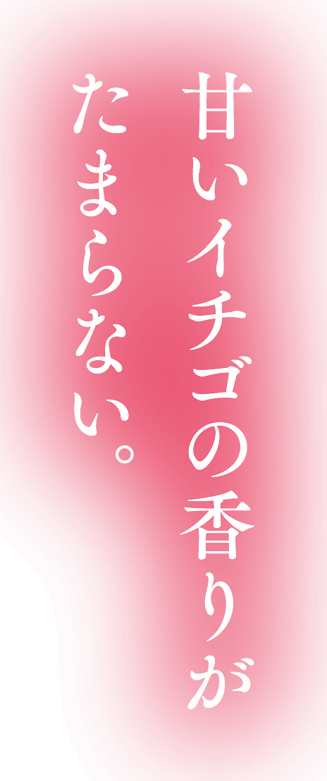 甘いいちごの香りがたまらない。｜みかど本舗