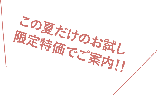 【お試し3本セット】抹茶 プレーン チョコ｜みかど本舗